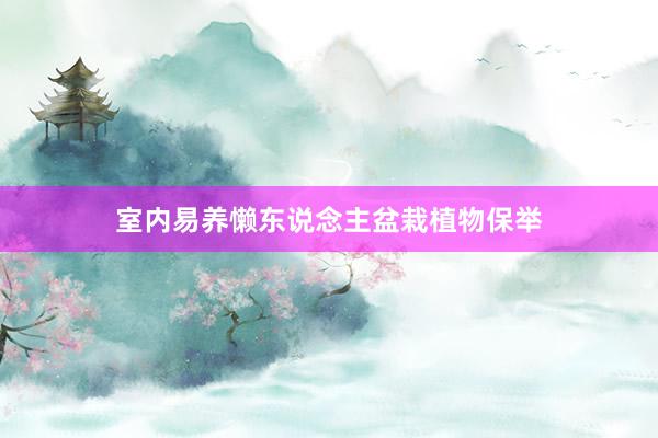 室内易养懒东说念主盆栽植物保举