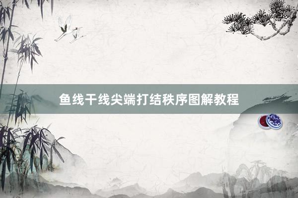 鱼线干线尖端打结秩序图解教程